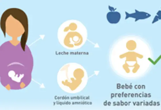 Influir en la percepción y la preferencia de sabor de los bebés para favorecer su salud a largo plazo (infographics)